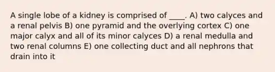 A single lobe of a kidney is comprised of ____. A) two calyces and a renal pelvis B) one pyramid and the overlying cortex C) one major calyx and all of its minor calyces D) a renal medulla and two renal columns E) one collecting duct and all nephrons that drain into it