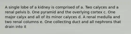 A single lobe of a kidney is comprised of a. Two calyces and a renal pelvis b. One pyramid and the overlying cortex c. One major calyx and all of its minor calyces d. A renal medulla and two renal columns e. One collecting duct and all nephrons that drain into it