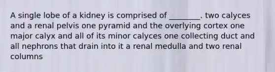 A single lobe of a kidney is comprised of ________. two calyces and a renal pelvis one pyramid and the overlying cortex one major calyx and all of its minor calyces one collecting duct and all nephrons that drain into it a renal medulla and two renal columns