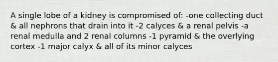 A single lobe of a kidney is compromised of: -one collecting duct & all nephrons that drain into it -2 calyces & a renal pelvis -a renal medulla and 2 renal columns -1 pyramid & the overlying cortex -1 major calyx & all of its minor calyces