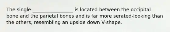 The single _________________ is located between the occipital bone and the parietal bones and is far more serated-looking than the others, resembling an upside down V-shape.