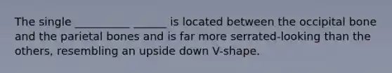 The single __________ ______ is located between the occipital bone and the parietal bones and is far more serrated-looking than the others, resembling an upside down V-shape.