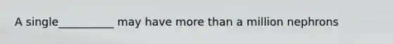 A single__________ may have <a href='https://www.questionai.com/knowledge/keWHlEPx42-more-than' class='anchor-knowledge'>more than</a> a million nephrons