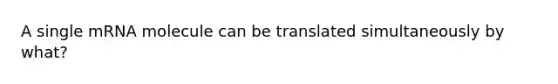 A single mRNA molecule can be translated simultaneously by what?