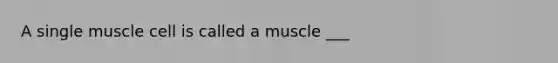 A single muscle cell is called a muscle ___