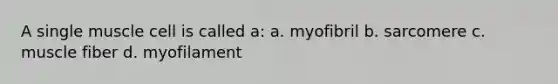 A single muscle cell is called a: a. myofibril b. sarcomere c. muscle fiber d. myofilament