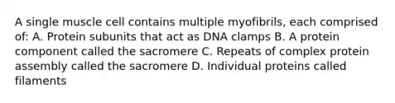 A single muscle cell contains multiple myofibrils, each comprised of: A. Protein subunits that act as DNA clamps B. A protein component called the sacromere C. Repeats of complex protein assembly called the sacromere D. Individual proteins called filaments