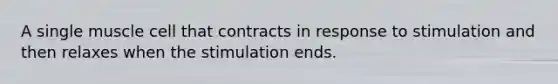 A single muscle cell that contracts in response to stimulation and then relaxes when the stimulation ends.