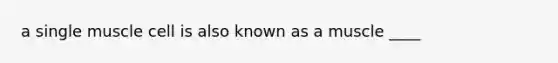 a single muscle cell is also known as a muscle ____