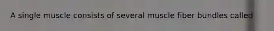 A single muscle consists of several muscle fiber bundles called