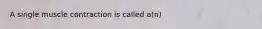 A single muscle contraction is called a(n)