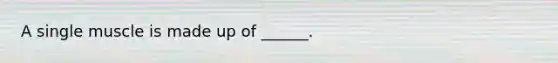 A single muscle is made up of ______.