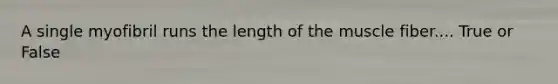 A single myofibril runs the length of the muscle fiber.... True or False