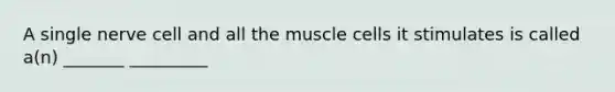 A single nerve cell and all the muscle cells it stimulates is called a(n) _______ _________