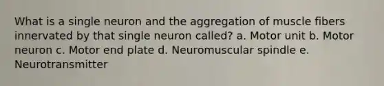 What is a single neuron and the aggregation of muscle fibers innervated by that single neuron called? a. Motor unit b. Motor neuron c. Motor end plate d. Neuromuscular spindle e. Neurotransmitter