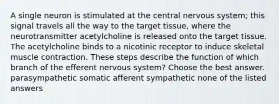 A single neuron is stimulated at the central nervous system; this signal travels all the way to the target tissue, where the neurotransmitter acetylcholine is released onto the target tissue. The acetylcholine binds to a nicotinic receptor to induce skeletal muscle contraction. These steps describe the function of which branch of the efferent nervous system? Choose the best answer. parasympathetic somatic afferent sympathetic none of the listed answers