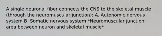 A single neuronal fiber connects the CNS to the skeletal muscle (through the neuromuscular junction): A. Autonomic <a href='https://www.questionai.com/knowledge/kThdVqrsqy-nervous-system' class='anchor-knowledge'>nervous system</a> B. Somatic nervous system *Neuromuscular junction: area between neuron and skeletal muscle*