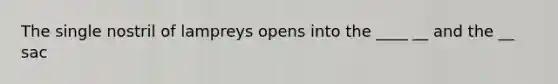 The single nostril of lampreys opens into the ____ __ and the __ sac
