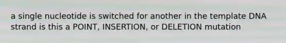 a single nucleotide is switched for another in the template DNA strand is this a POINT, INSERTION, or DELETION mutation