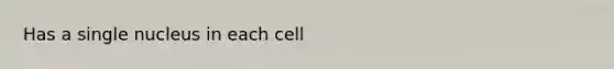 Has a single nucleus in each cell