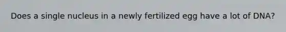 Does a single nucleus in a newly fertilized egg have a lot of DNA?