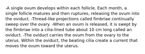 -A single ovum develops within each follicle. Each month, a single follicle matures and then ruptures, releasing the ovum into the oviduct. -Thread-like projections called fimbriae continually sweep over the ovary. -When an ovum is released, it is swept by the fimbriae into a cilia-lined tube about 10 cm long called an oviduct. -The oviduct carries the ovum from the ovary to the uterus. Within the oviduct, the beating cilia create a current that moves the ovum toward the uterus.