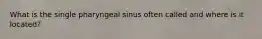 What is the single pharyngeal sinus often called and where is it located?