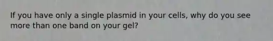 If you have only a single plasmid in your cells, why do you see more than one band on your gel?