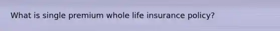 What is single premium whole life insurance policy?