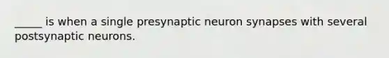 _____ is when a single presynaptic neuron synapses with several postsynaptic neurons.