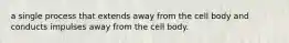 a single process that extends away from the cell body and conducts impulses away from the cell body.