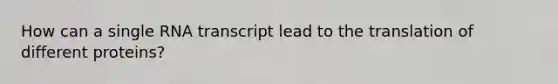How can a single RNA transcript lead to the translation of different proteins?