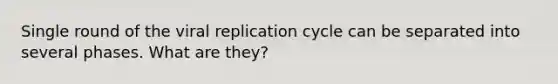 Single round of the viral replication cycle can be separated into several phases. What are they?