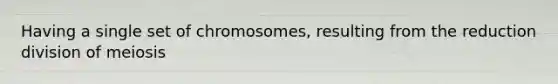 Having a single set of chromosomes, resulting from the reduction division of meiosis