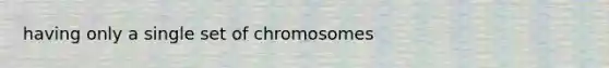 having only a single set of chromosomes