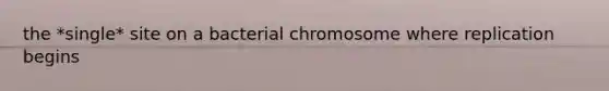 the *single* site on a bacterial chromosome where replication begins