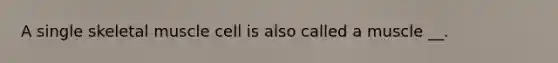 A single skeletal muscle cell is also called a muscle __.