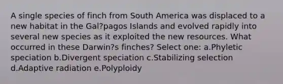 A single species of finch from South America was displaced to a new habitat in the Gal?pagos Islands and evolved rapidly into several new species as it exploited the new resources. What occurred in these Darwin?s finches? Select one: a.Phyletic speciation b.Divergent speciation c.Stabilizing selection d.Adaptive radiation e.Polyploidy