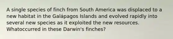 A single species of finch from South America was displaced to a new habitat in the Galápagos Islands and evolved rapidly into several new species as it exploited the new resources. Whatoccurred in these Darwin's finches?