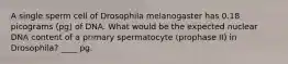 A single sperm cell of Drosophila melanogaster has 0.18 picograms (pg) of DNA. What would be the expected nuclear DNA content of a primary spermatocyte (prophase II) in Drosophila? ____ pg.