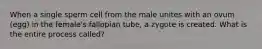 When a single sperm cell from the male unites with an ovum (egg) in the female's fallopian tube, a zygote is created. What is the entire process called?