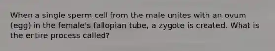 When a single sperm cell from the male unites with an ovum (egg) in the female's fallopian tube, a zygote is created. What is the entire process called?