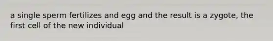 a single sperm fertilizes and egg and the result is a zygote, the first cell of the new individual