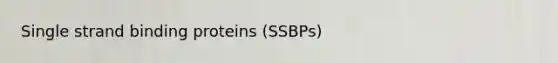 Single strand binding proteins (SSBPs)