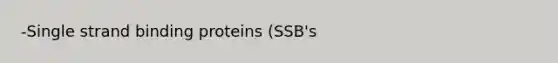 -Single strand binding proteins (SSB's