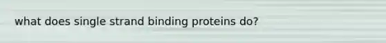 what does single strand binding proteins do?