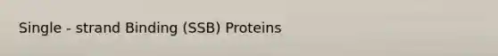 Single - strand Binding (SSB) Proteins