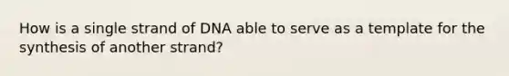 How is a single strand of DNA able to serve as a template for the synthesis of another strand?