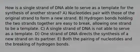 How is a single strand of DNA able to serve as a template for the synthesis of another strand? A) Nucleotides pair with those of the original strand to form a new strand. B) Hydrogen bonds holding the two strands together are easy to break, allowing one strand to be a template. C) A single strand of DNA is not able to serve as a template. D) One strand of DNA directs the synthesis of a new strand on its partner. E) Both the pairing of nucleotides and the breaking of hydrogen bonds.