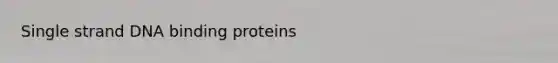 Single strand DNA binding proteins